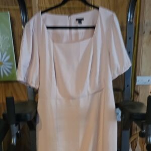 Ann Taylor Factory Blush Pink Dress